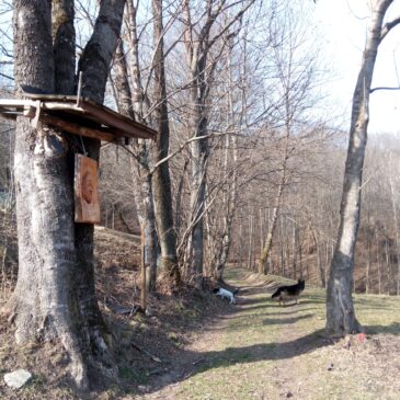 Da Frassinere a Prarotto – Condove