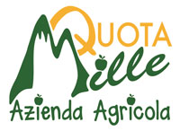 Azienda Agricola Quota Mille