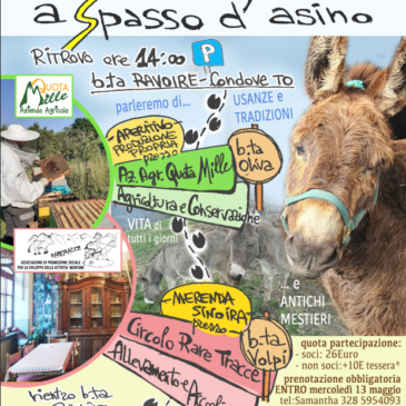 Come una volta….a Spasso d’asino