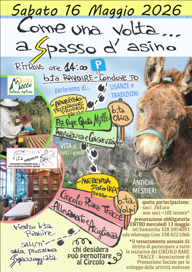 camminata con asini